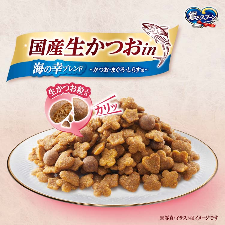 銀のスプーン 国産生かつおin 海の幸ブレンド キャットフード ドライ