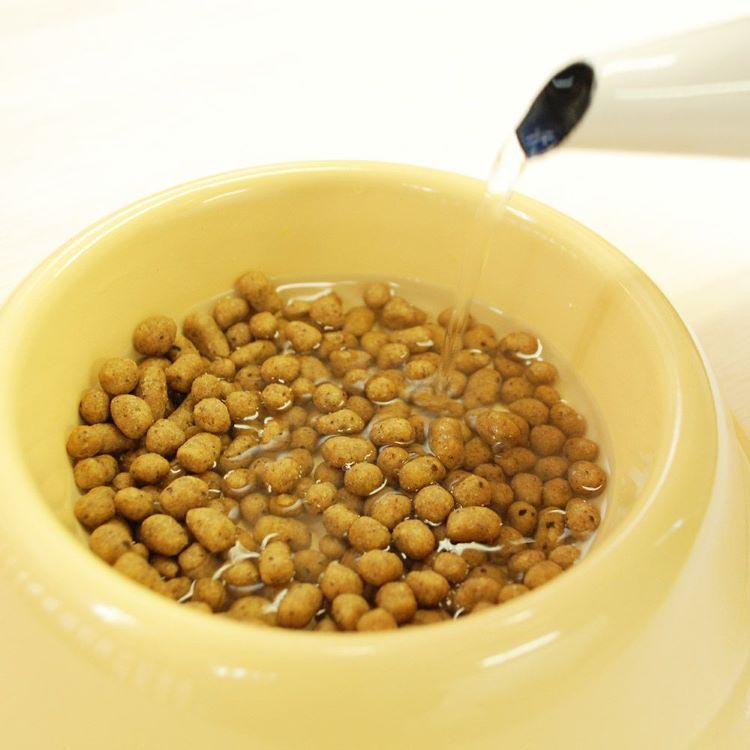 ドットわん 魚ごはん 犬用 ( 500g )/ ピュアボックス : ペットランド