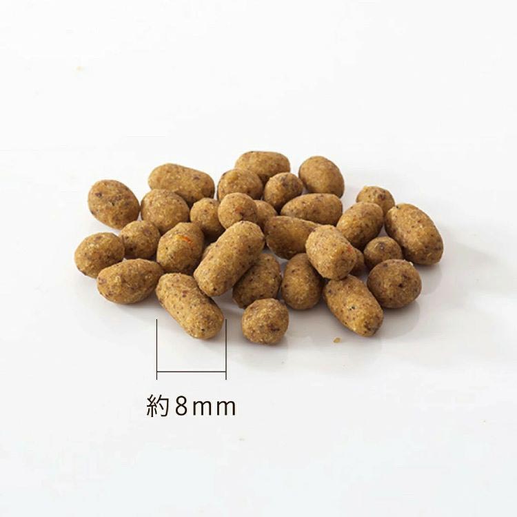 ドットわん 魚ごはん 犬用 ( 500g )/ ピュアボックス : ペットランド