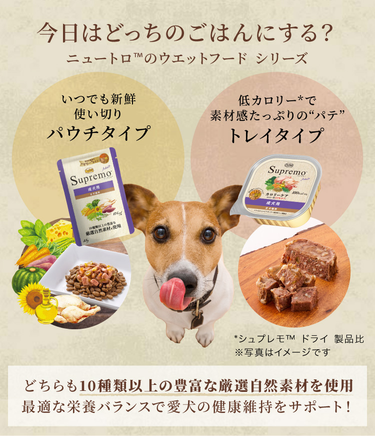 ニュートロ ナチュラル チョイス 小型犬用 エイジングケア チキン&玄米