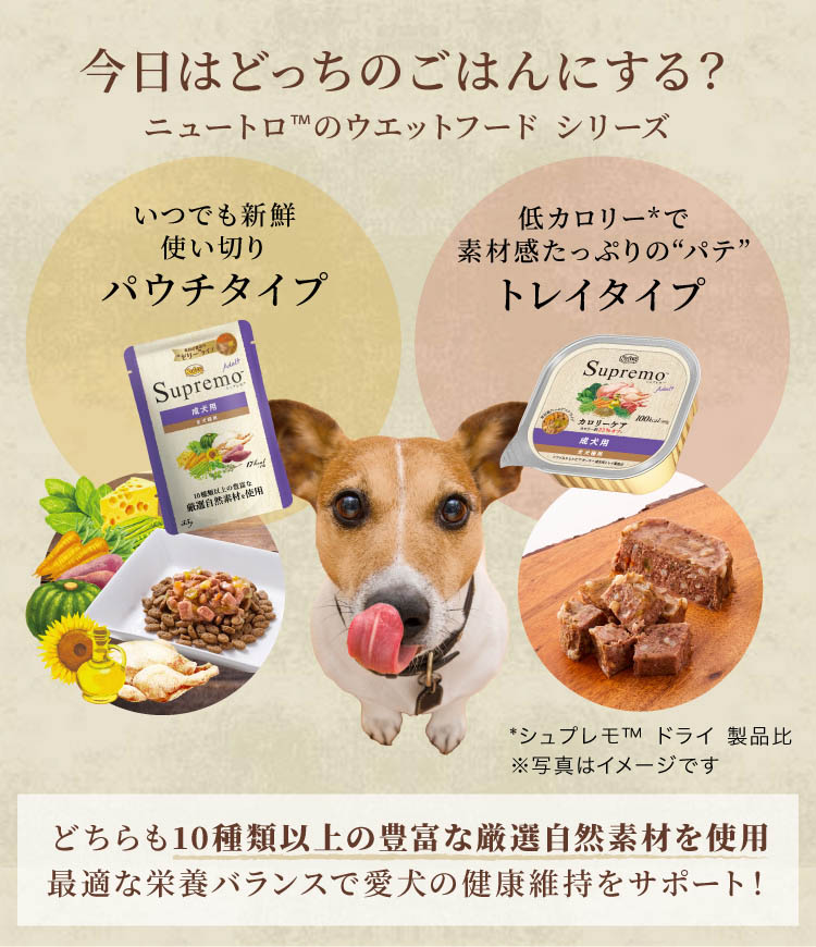ニュートロ ナチュラル チョイス 子犬用 妊娠中・授乳中の母犬に