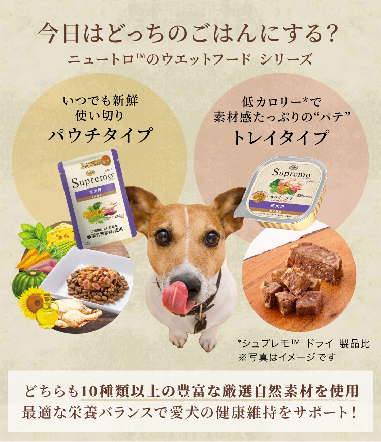 ニュートロ ナチュラル チョイス ラム&玄米 中型犬~大型犬用 成犬用 ( 2kg )/ ナチュラルチョイス(NATURAL CHOICE) (  ドッグフード )