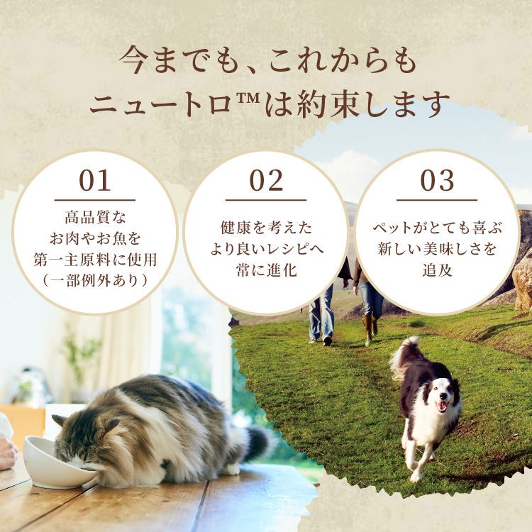 ニュートロ シュプレモ 超小型犬4kg以下用 成犬用 ( 2kg )/ シュプレモ