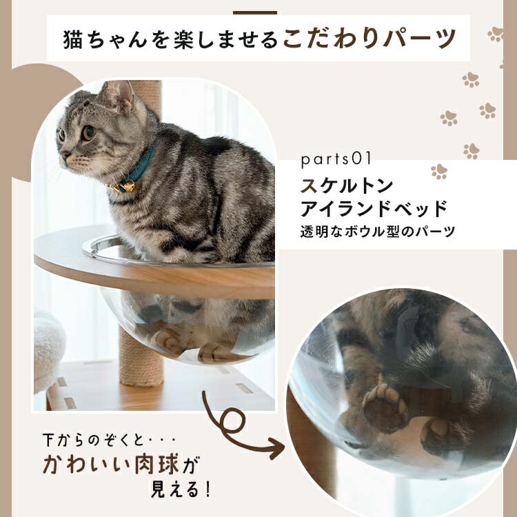 きのぼりアスレチックタワー ワイドタイプ ( 1個 ) : ペット
