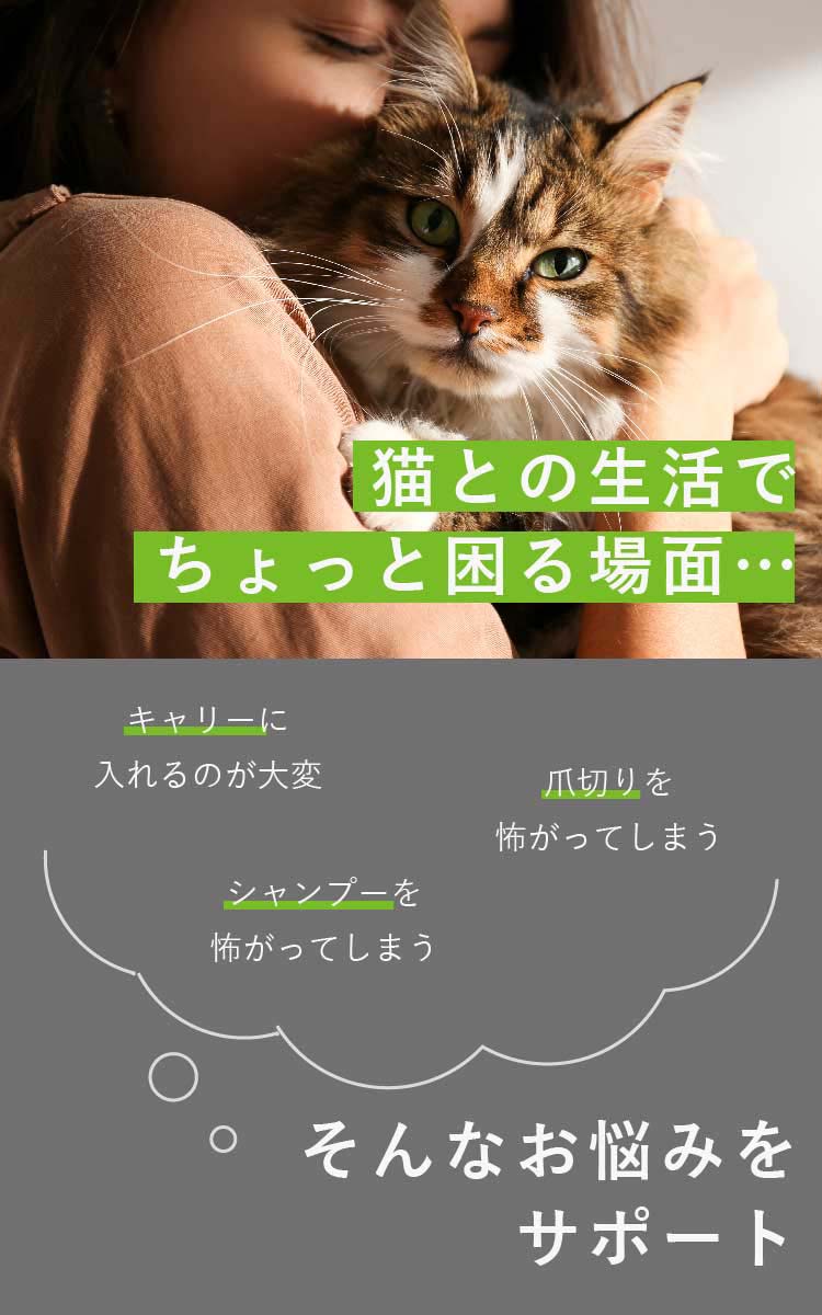 猫壱 おちつくネット ( 1個 )/ : ペットランドYahoo!店 - 通販