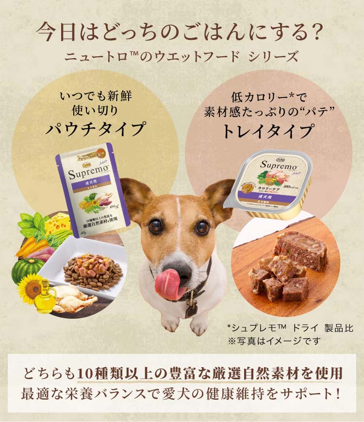 ニュートロ ワイルド レシピ 超小型犬〜小型犬用 成犬用 ターキー 穀物