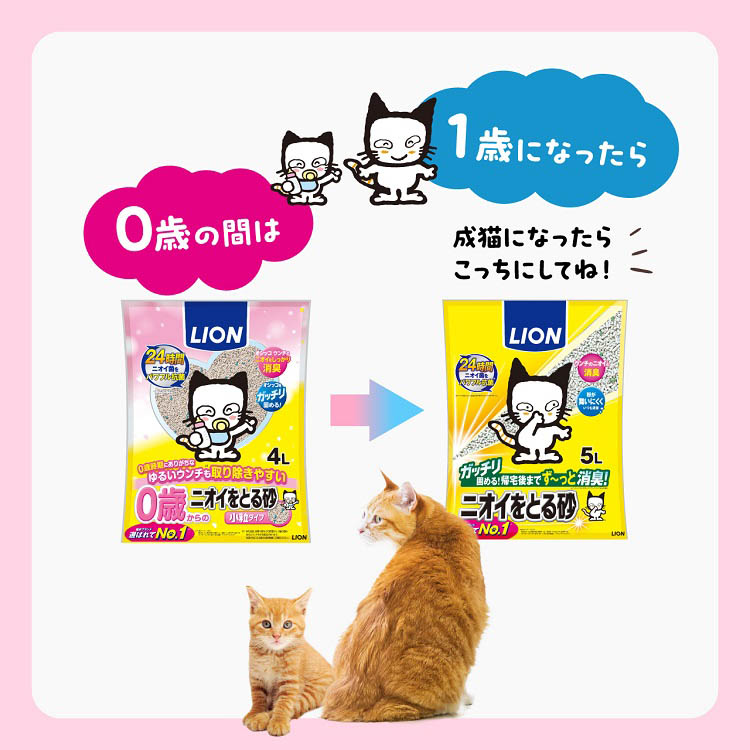 猫 トイレ 本体)ニオイをとる砂 コンパクトコーナー猫トイレ子猫お迎え