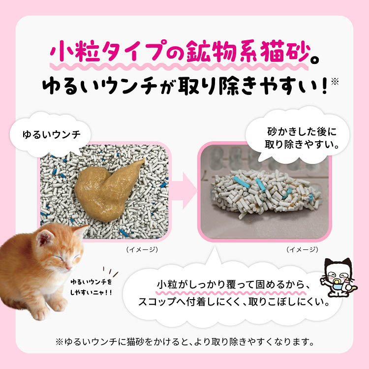 猫 トイレ 本体)ニオイをとる砂 コンパクトコーナー猫トイレ子猫お迎え