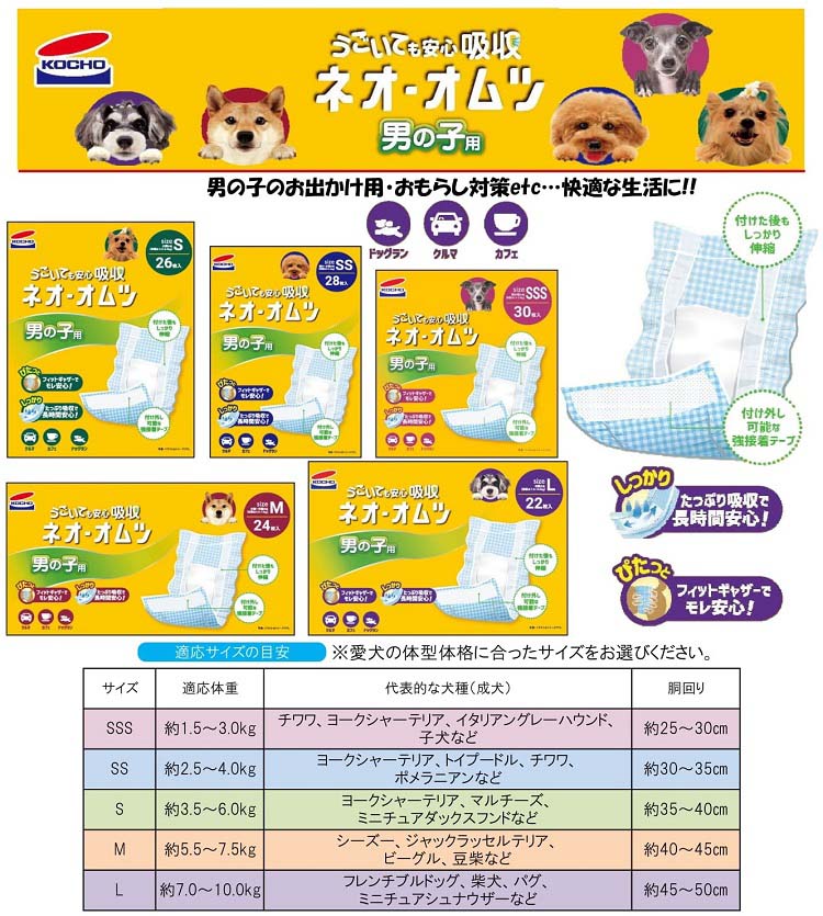 ネオ・オムツ 男の子用 L ( 22枚入 )/ ネオ・ルーライフ(NEO Loo LIFE