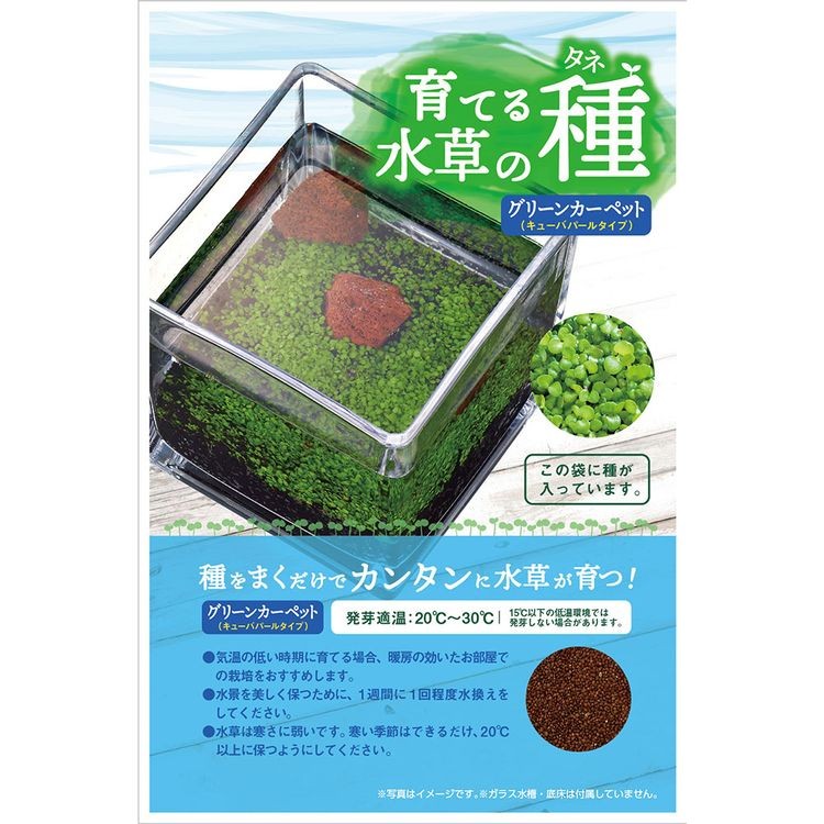 392円 2周年記念イベントが ニッソー 育てる水草の種 ストレートヘアー流木