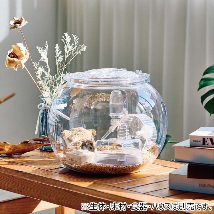 ハムリウム ハムスターの飼育セット ( 1個 )/ ミニアニマン : ペット ハムリウム ハムスターの飼育セット ( 1個 )/ ミニアニマン : ペット