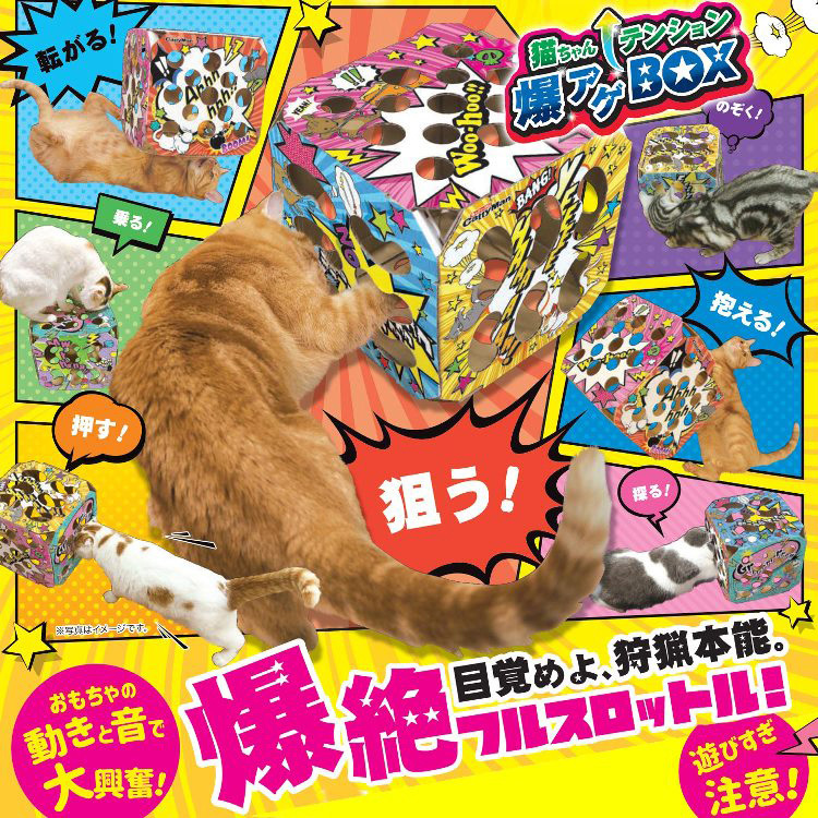 キャティーマン 猫ちゃんテンション爆アゲBOX ( 1個 )/ キャティーマン