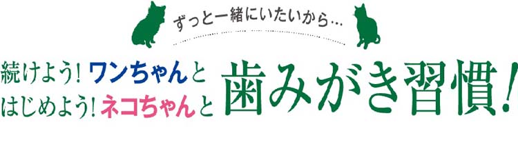 ペットキッス 食後の歯みがきガム 子犬用 ( 10本入*6袋セット )/ ペットキッス :511747:ペットランドYahoo!店 - 通販 -  Yahoo!ショッピング