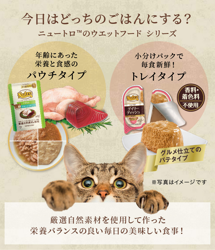 ニュートロ デイリー ディッシュ シニア猫用 チキン＆ツナ ペースト