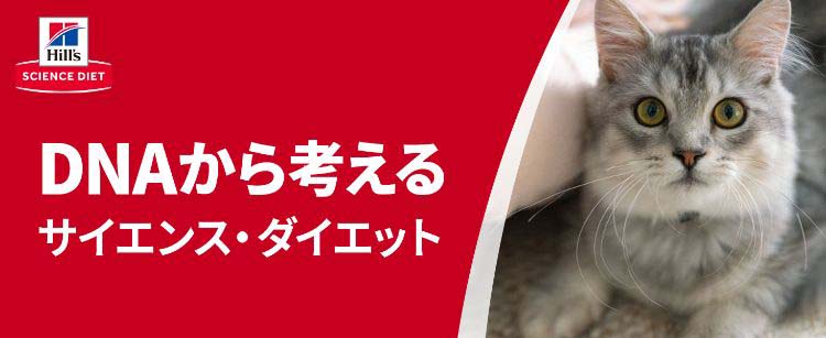 キャットフード インドアキャット シニア 猫 7歳以上 チキン 高齢猫 2.8kg サイエンスダイエット キャットフード キャットフード 