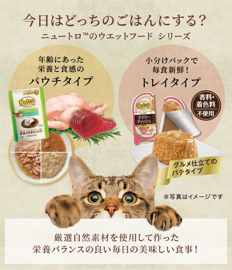 ニュートロ シュプレモ 成猫用 白身魚＆チキン キャットフード