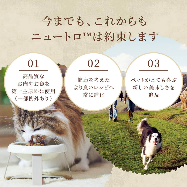 ニュートロ シュプレモ 成猫用 サーモン＆チキン キャットフード