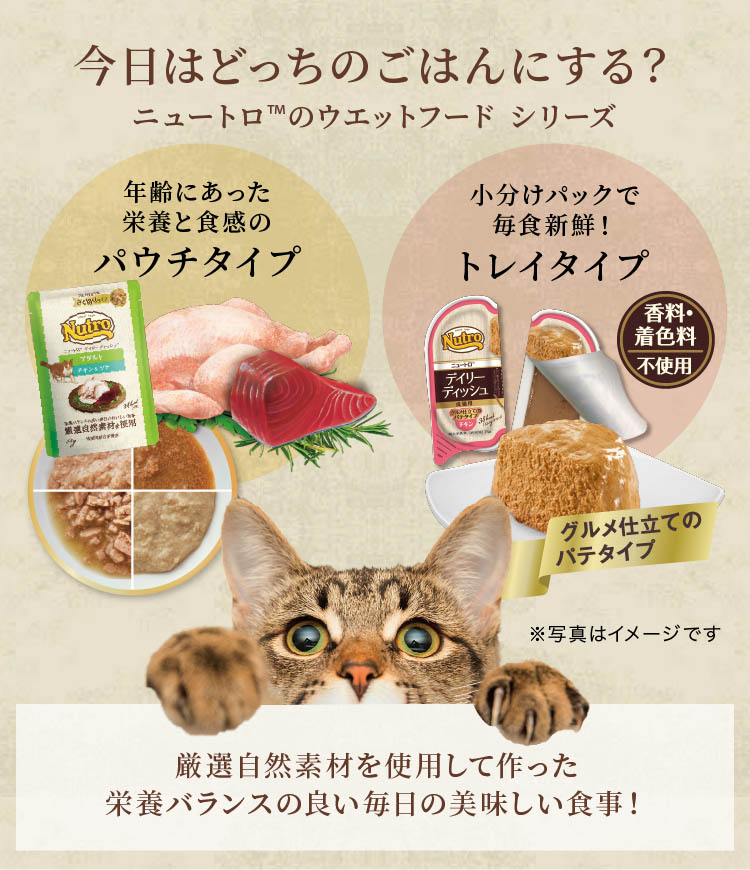 ニュートロ キャット ワイルドレシピ シニア猫用 チキン＆ツナ パウチ