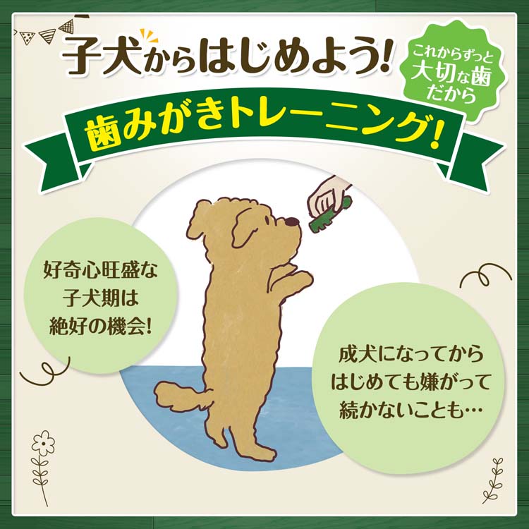 グリニーズプラス 生後2か月からの子犬用 歯みがきガム 超小型〜小型犬