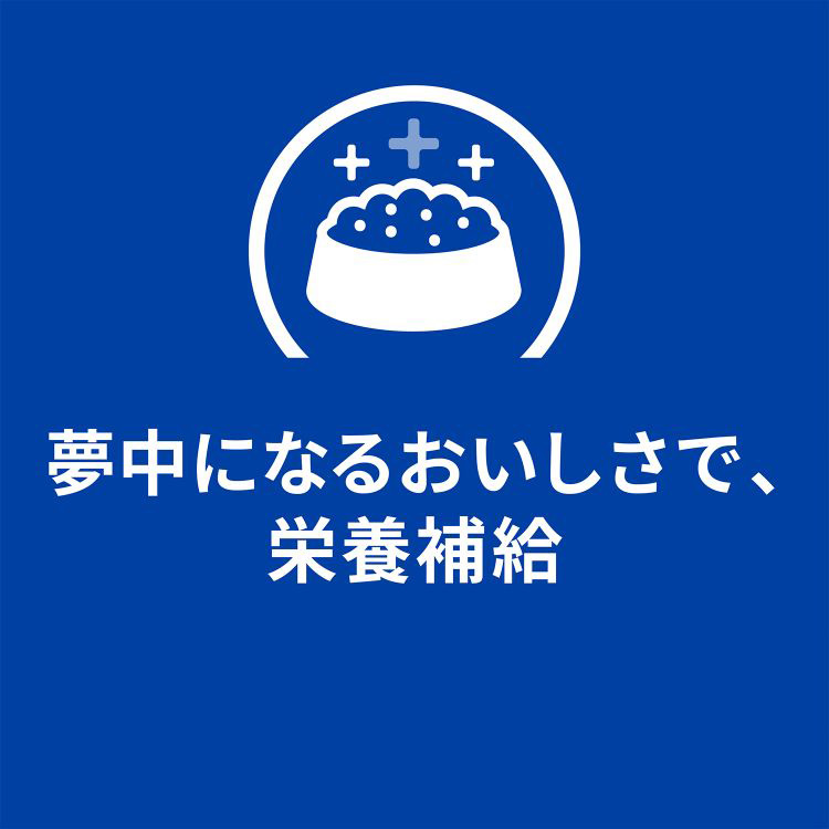 i/d 缶詰 シチュー チキン&野菜入り 消化ケア 犬用 特別療法食