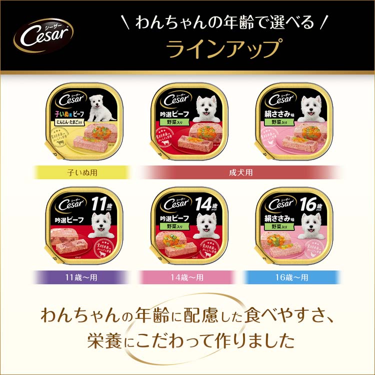 シーザー シニア用 14歳からの絹ささみ ドッグフード ウエット