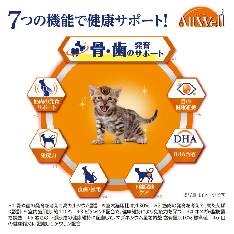 オールウェル キャット ドライ 子猫 フィッシュ ( 200g*2袋セット