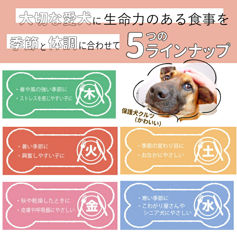 漢方ごはん レトルト 80g 【水】ピリカ薬膳 鹿肉 国産 ウェットフード 成犬用総合栄養食 メール便 寒い季節に こわがり屋さんやシニア犬にやさしい  :pmwf005-80:ペットライフポッターヤフー店 - 通販 - Yahoo!ショッピング