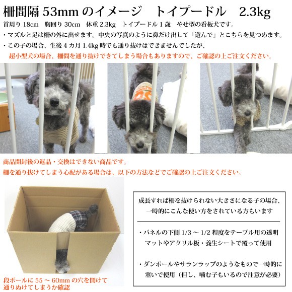 柵間隔と小型犬