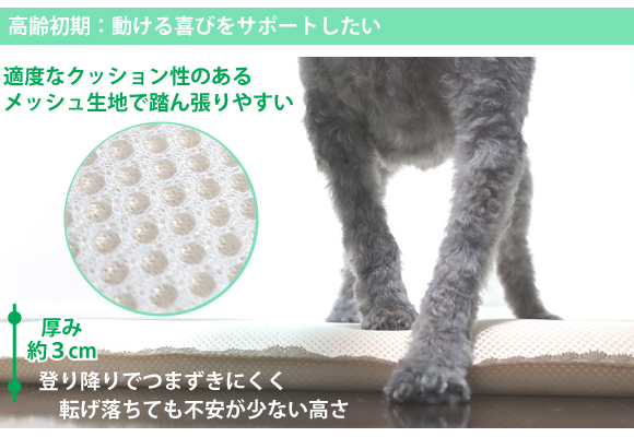 踏ん張りやすい　動ける喜びをサポートしたい