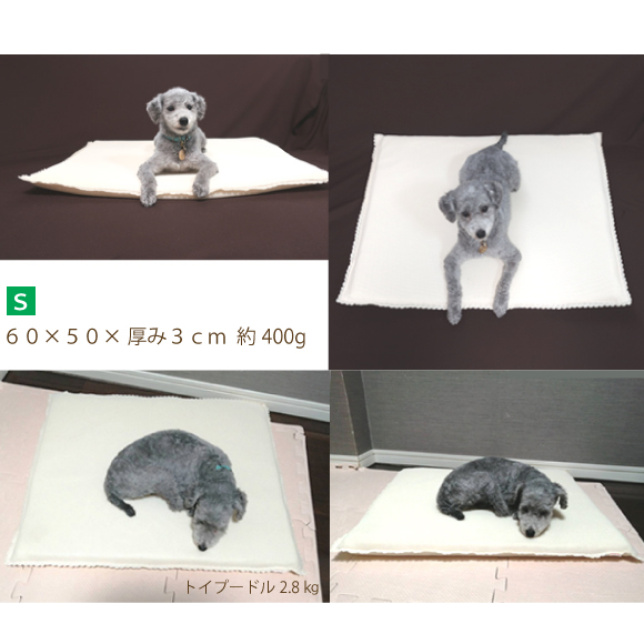 ハニカムケアマット使用例トイプードル