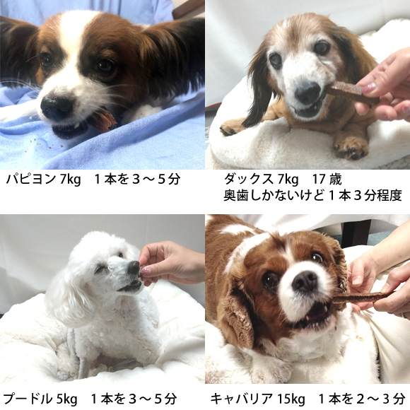 犬 歯磨きガム 無添加 国産 吉岡油糧 歯石 歯みがき スティック 3本入