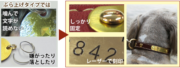 キーホルダーや鑑札の迷子札では紛失の可能性も
