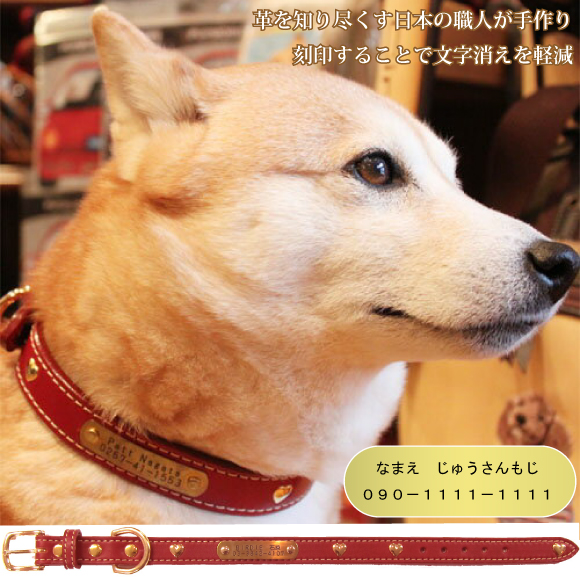 迷子時に連絡先がわかるカラー