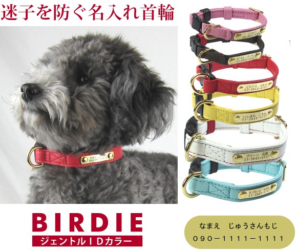 迷子時に連絡先がわかるカラー