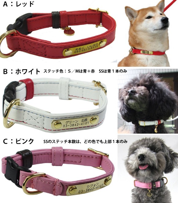ジェントルIDカラーバリエーション