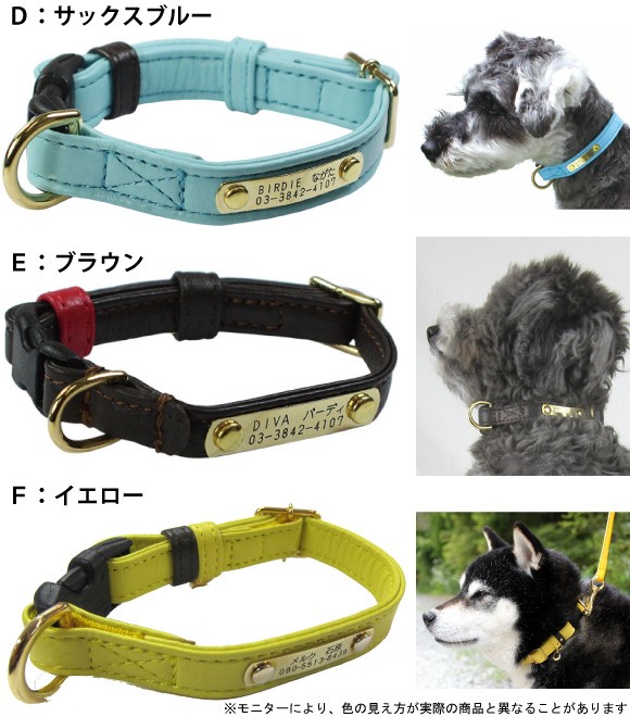 ジェントルIDカラーバリエーション