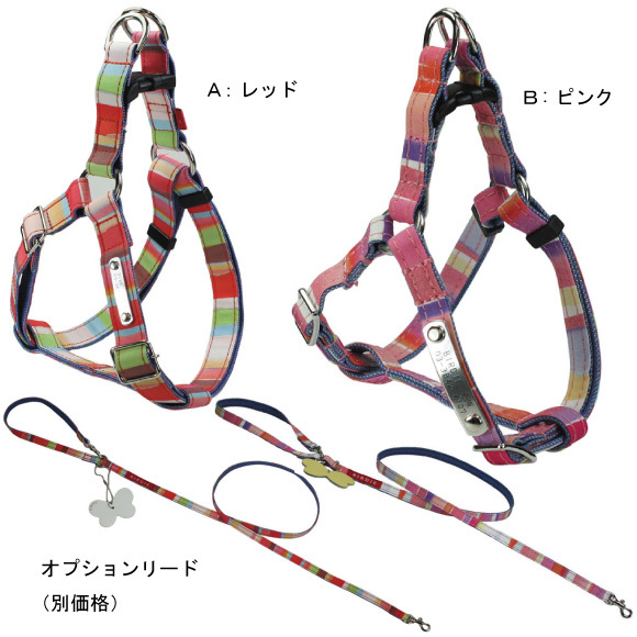 マルチボーダーカラーとリード