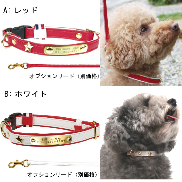 レッド ホワイト