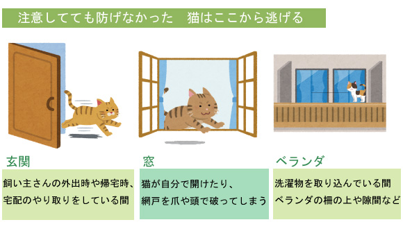 猫はここから逃げる