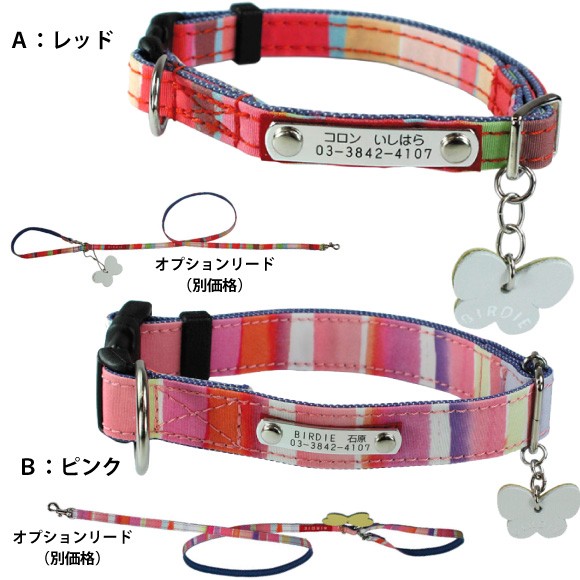 マルチボーダーカラーとリード