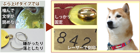 キーホルダーや鑑札の迷子札では紛失の可能性も