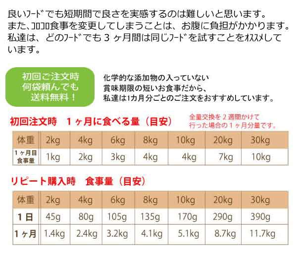 食事量目安