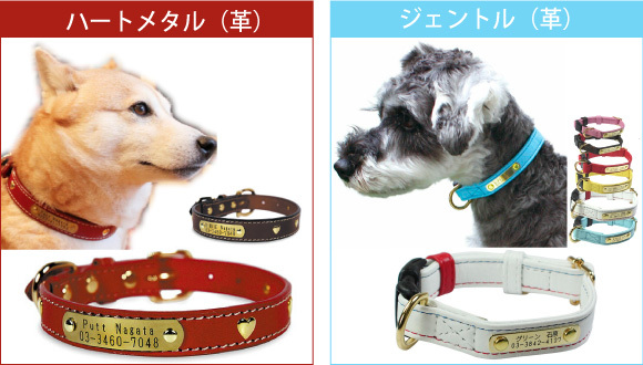 6種バリエーション