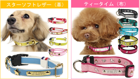 6種バリエーション
