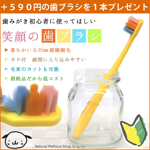 nanowell（ナノウエル） オーラルケア forDOG 犬用 20mL +