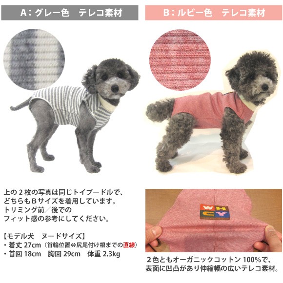 Tピースはオーガニックコットンを使用した２色のデザインがあります