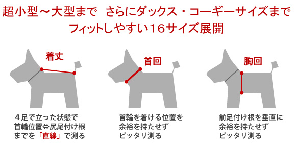 超小型犬から大型犬さらにダックス・コーギーサイズまで展開