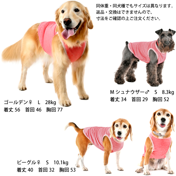 新品タグ付 dogdept ブルゾン 接触冷感 クール ひんやり冷たく 楽天市場】犬 猫 クールクッション 夏用 ペットカート用
