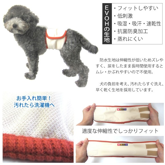 犬の負担を考えて汚れたらすぐ洗え、早く乾く生地を採用したマナーバンド