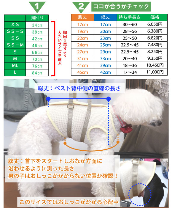 丈の合わせ方